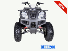 Load image into Gallery viewer, TaoMotor Bull 200 Adult ATV
