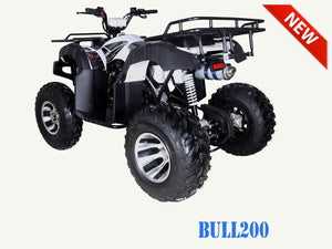 TaoMotor Bull 200 Adult ATV