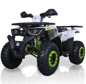TaoMotor Raptor 200 Fully Loaded ATV