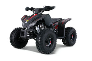 TaoMotor Trailhawk 125cc Kids ATV