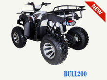 Load image into Gallery viewer, TaoMotor Bull 200 Adult ATV