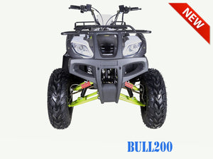 TaoMotor Bull 200 Adult ATV