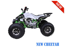 Load image into Gallery viewer, TaoMotor 125cc Cheetah Kids ATV