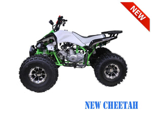 TaoMotor 125cc Cheetah Kids ATV